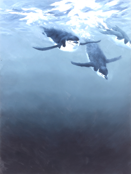 1Wildlife – Antarctic Plunge by John Seerey-Lester