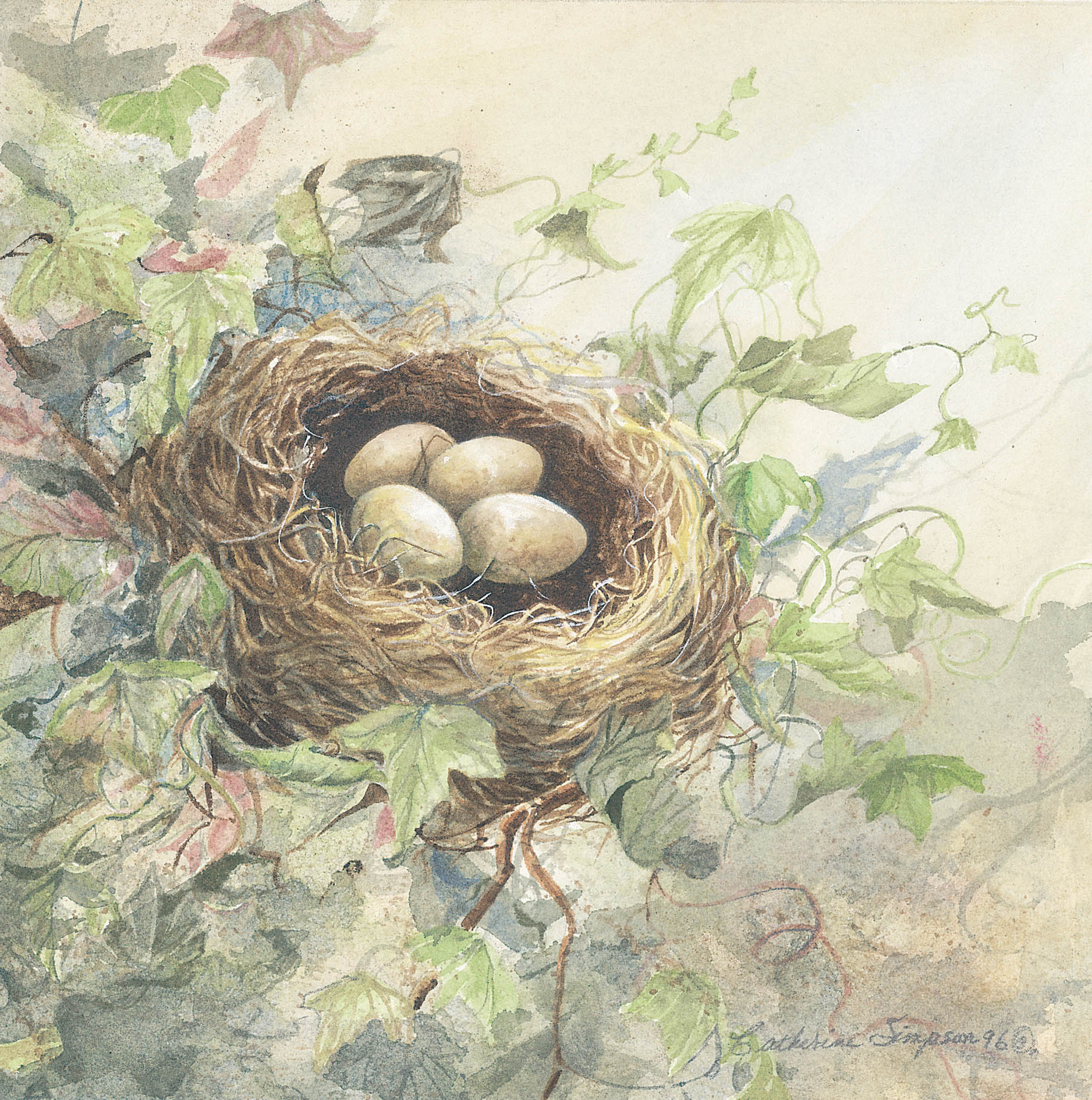 Finch Nest by Catherine Simpson