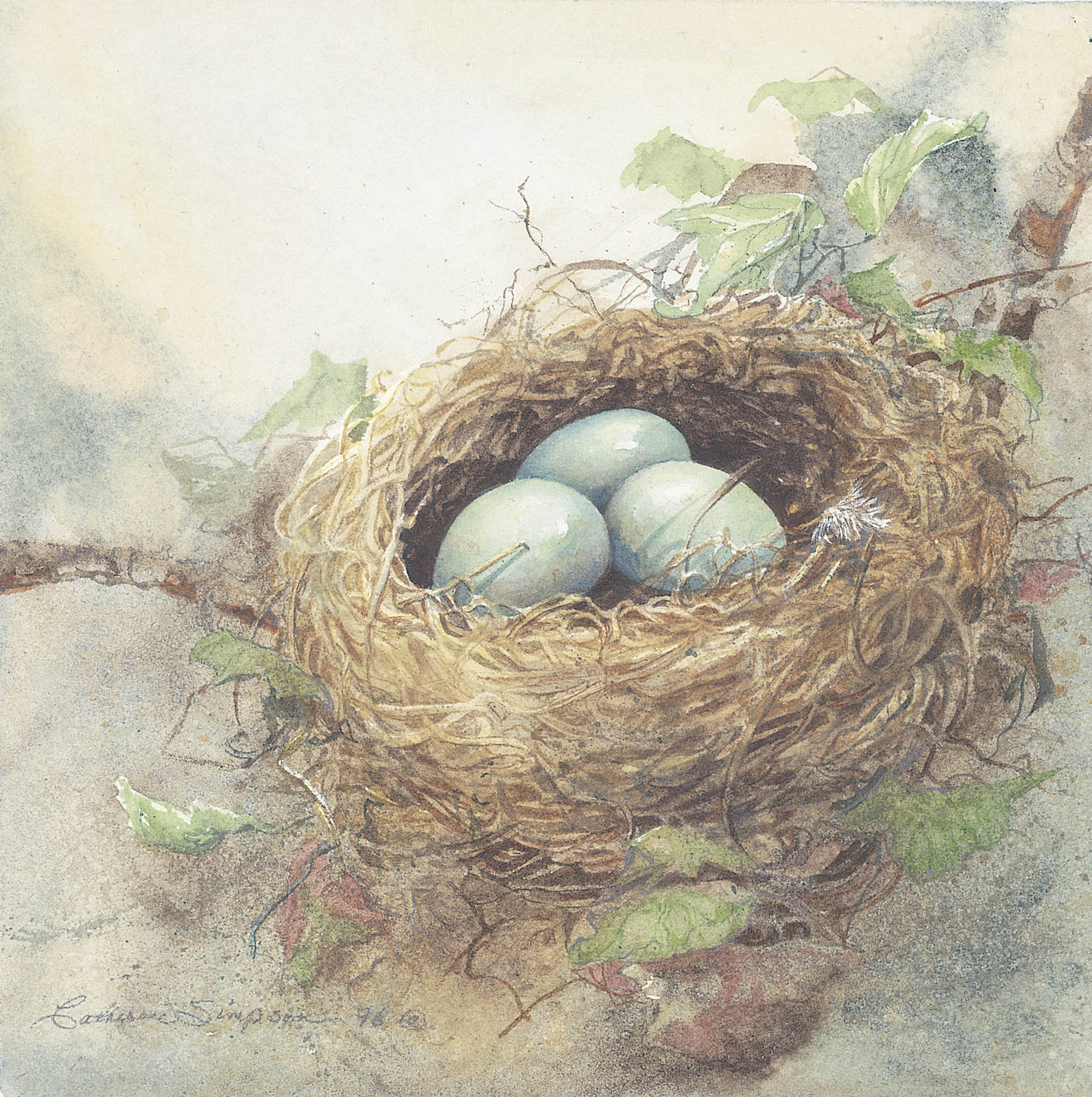 Robins Nest by Catherine Simpson