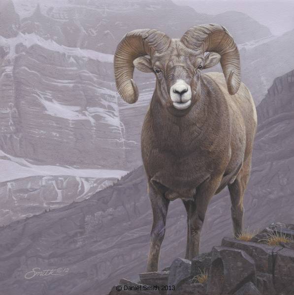 Rocky Mountain Realm by Daniel Smith