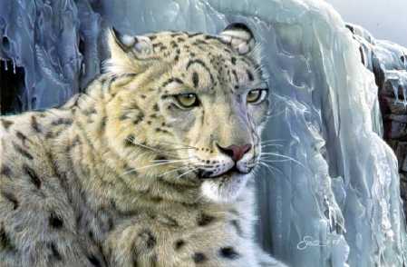 Snow Leopard by Daniel Smith