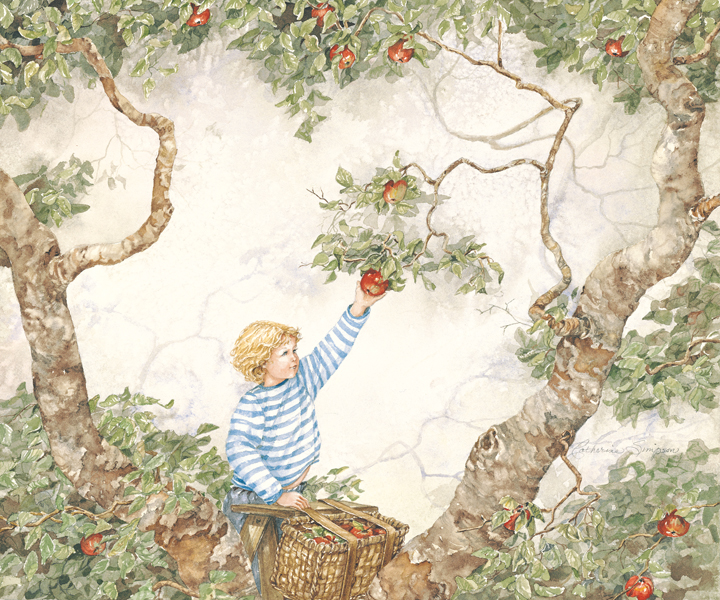 Apple Picking by Catherine Simpson