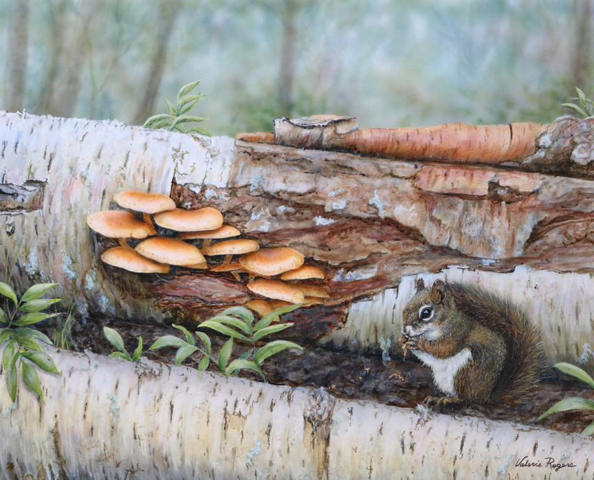 Wild Mushrooms by Valerie Rogers