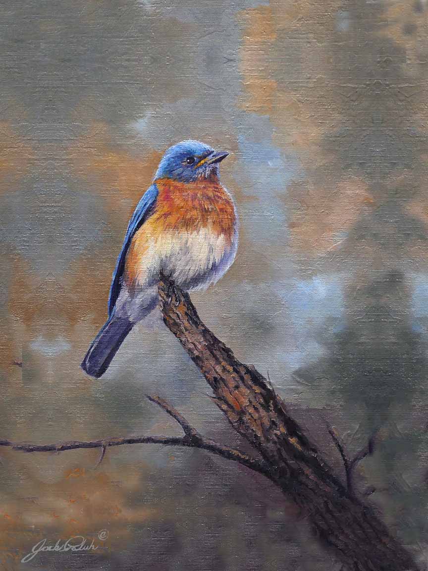 JP – 1-Blue Bird Perch by Jack Paluh