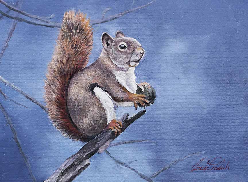 JP – 2-Red Squirrel by Jack Paluh