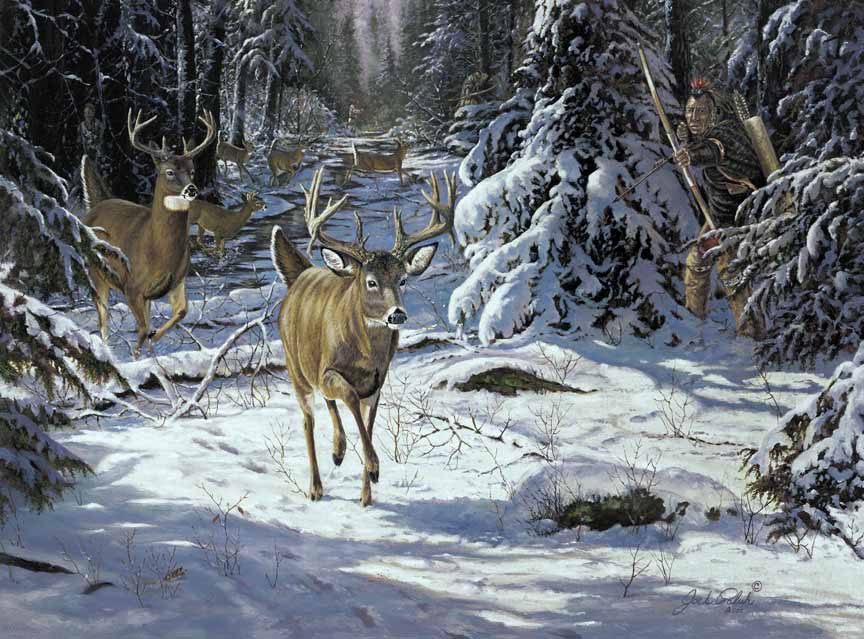 JP – 4-Whitetail Drive by Jack Paluh