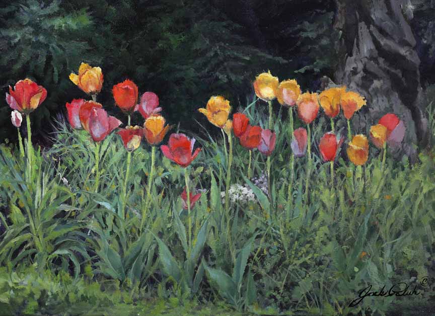 JP – 6-For Love of Tulips by Jack Paluh