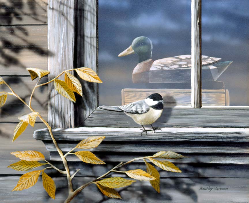 BJ – Behind Glass – Chickadee © Bradley Jackson