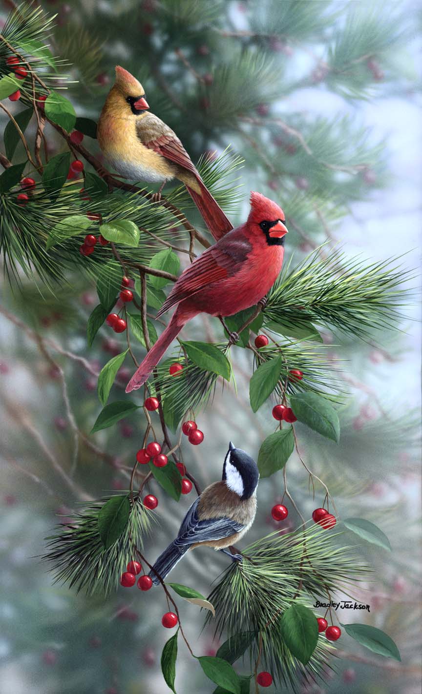 BJ – Berrypickers – Cardinals and Chickadee © Bradley Jackson