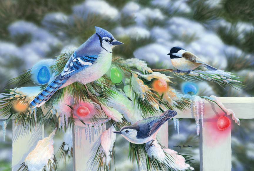 BJ – Christmas Lights – Blue Jays and Chickadee © Bradley Jackson