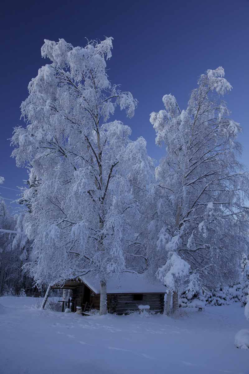 SL – Winter Cabin © Shane Lamb
