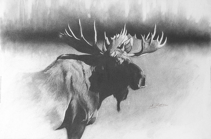 CJ – Bull Moose 1 © Cole Johnson