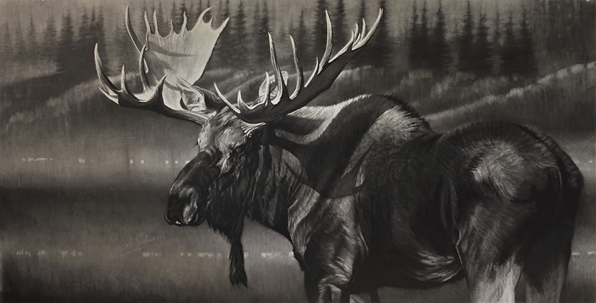 CJ – Bull Moose 8ft © Cole Johnson