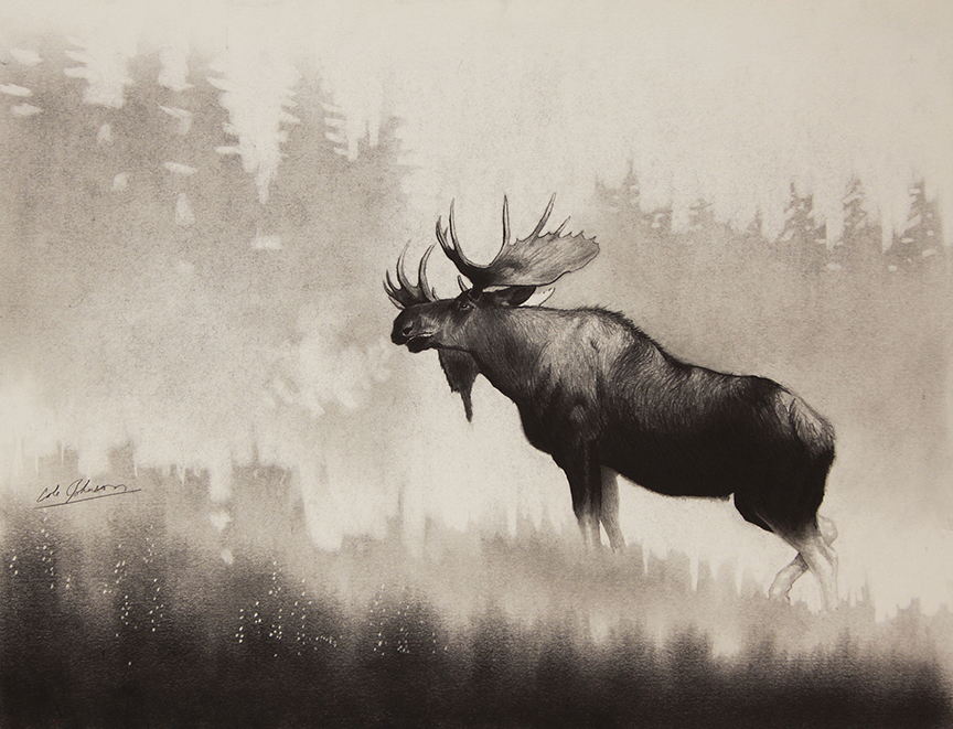 CJ – Bull Moose © Cole Johnson