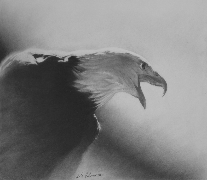 CJ – Eagle © Cole Johnson
