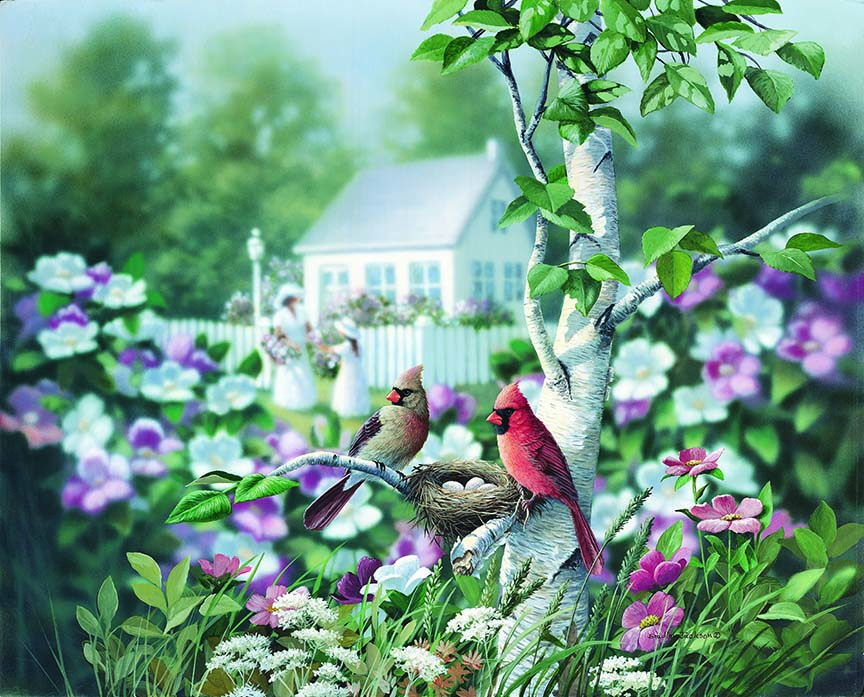 BJ – In the Garden – Cardinals © Bradley Jackson
