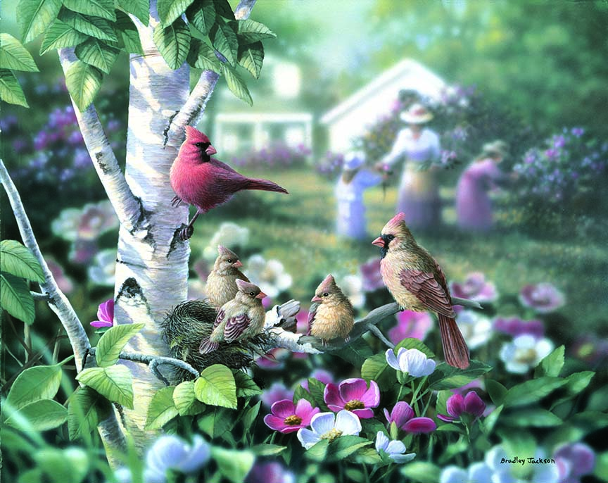 BJ – Spring Family Cardinals © Bradley Jackson