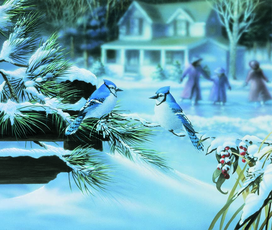 BJ – Victorian Memories – Winter – Blue Jays 2 © Bradley Jackson