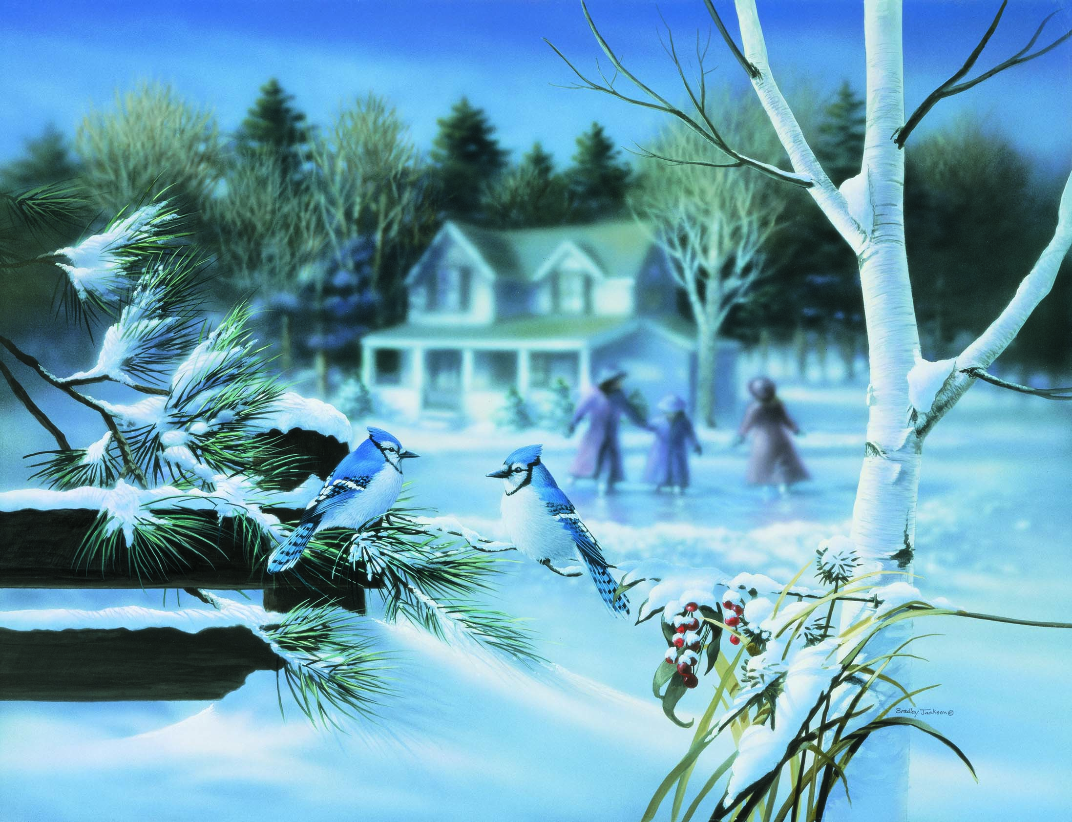 BJ – Victorian Memories – Winter – Blue Jays © Bradley Jackson