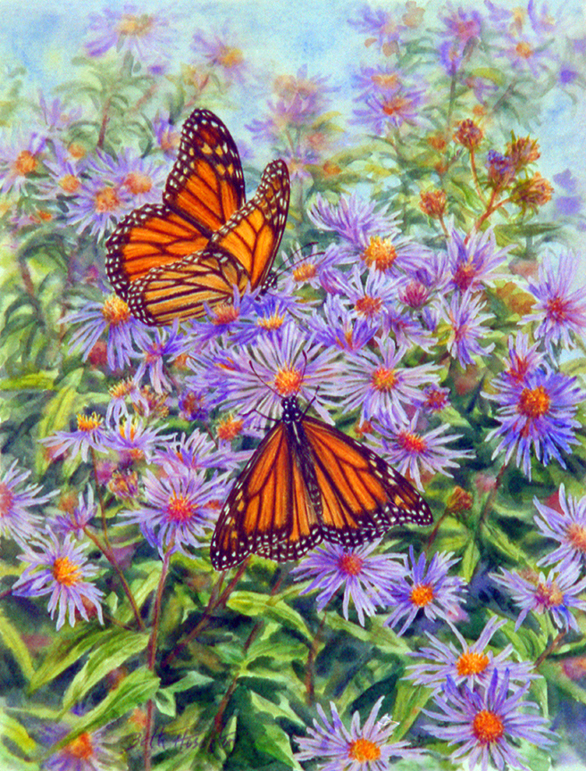 BH2 – Butterfly – Before the Migration -Butterflies and Asters © Beth Hoselton