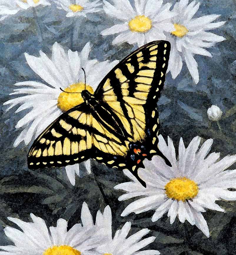 BH2 – Butterfly – Butterfly Afternoon – Tiger Swallowtail Butterfly (detail) © Beth Hoselton