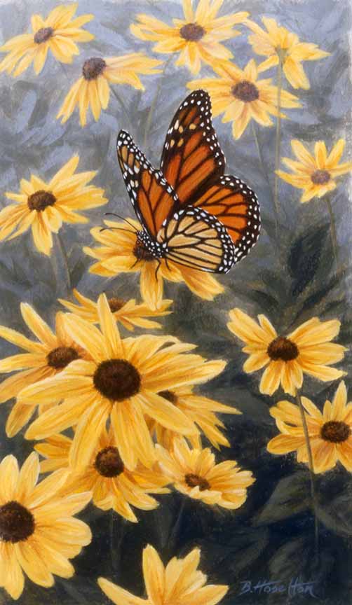 BH2 – Butterfly – Butterfly Morning – Monarch © Beth Hoselton