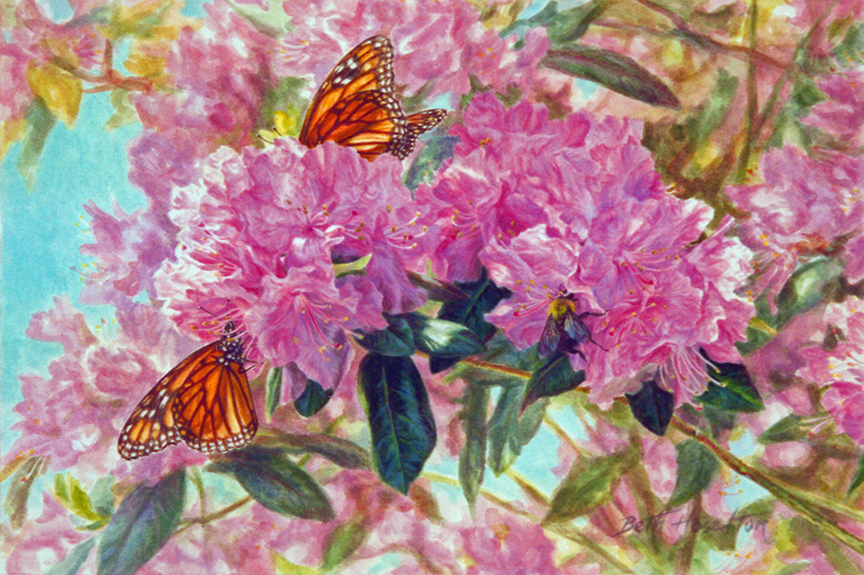 BH2 – Butterfly – Summer Friends – Monarch Butterflies, Bumblebee in Rhododendron © Beth Hoselton