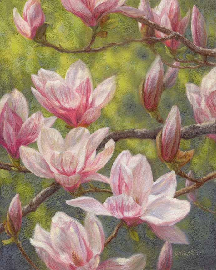 BH2 – Floral – Magnolia Morning © Beth Hoselton