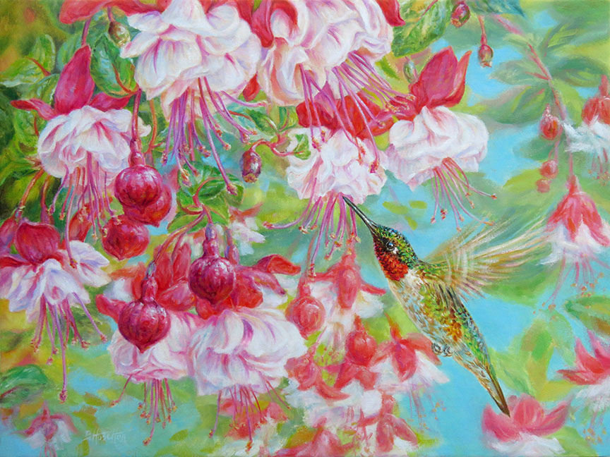 BH2 – Songbirds – A Summer’s Joy – Ruby-Throated Hummingbird and Fuschia © Beth Hoselton