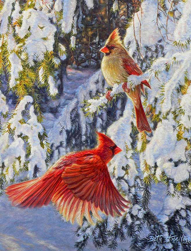 BH2 – Songbirds – A Winter’s Carol – Cardinals © Beth Hoselton