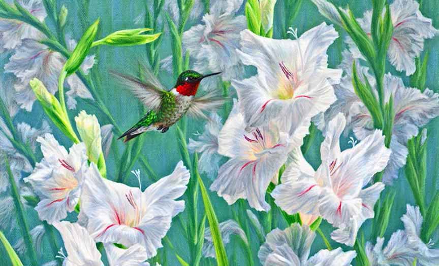 BH2 – Songbirds – Garden Dance – Ruby-Throated Hummingbird and Gladiola (detail) © Beth Hoselton