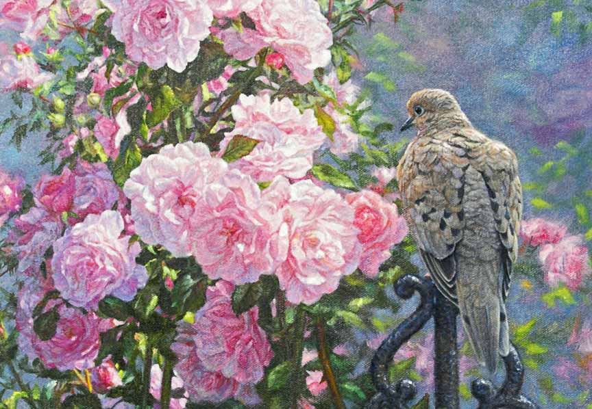 BH2 – Songbirds – Garden Splendour – Mourning Dove and Roses © Beth Hoselton