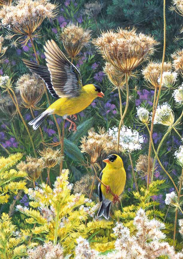 BH2 – Songbirds – Golden Opportunity – American Goldfinches (detail) © Beth Hoselton