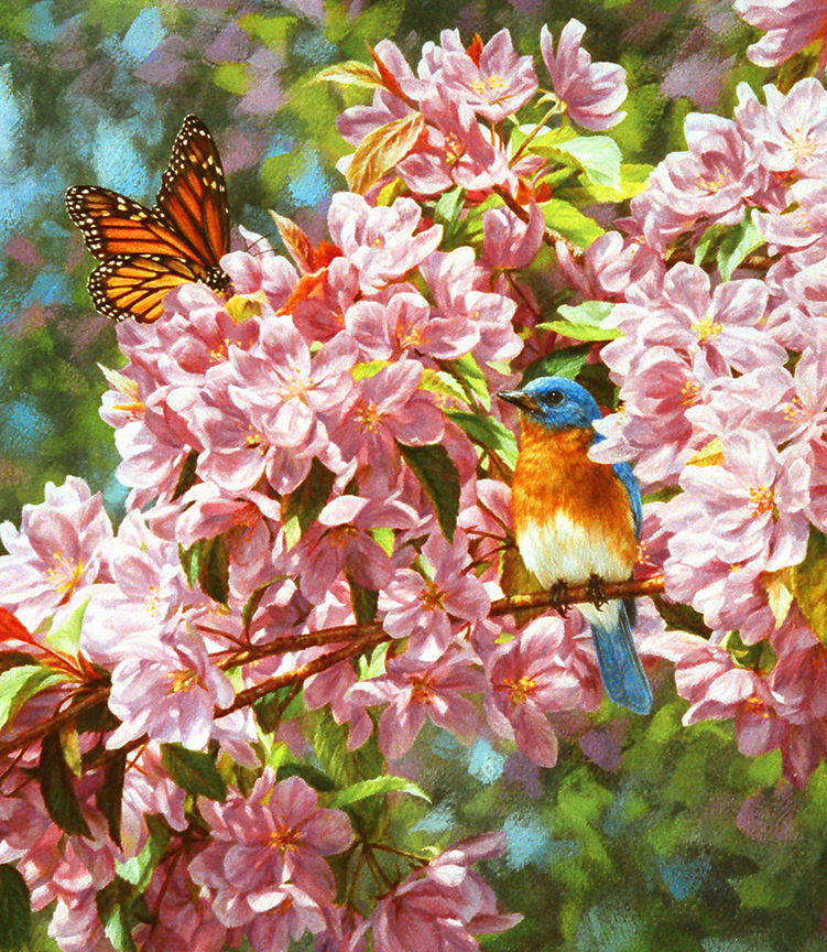 BH2 – Songbirds – In the Blossoms 2 – Bluebird in Crabapple © Beth Hoselton