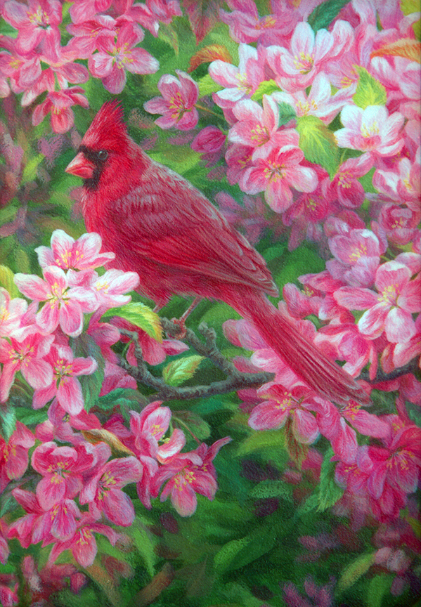 BH2 – Songbirds – Love in Bloom 2 Cardinals and Crabapple © Beth Hoselton