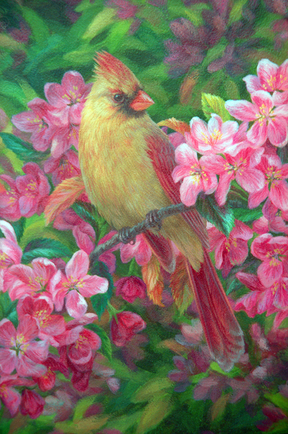 BH2 – Songbirds – Love in Bloom – Cardinals and Crabapple 2 © Beth Hoselton