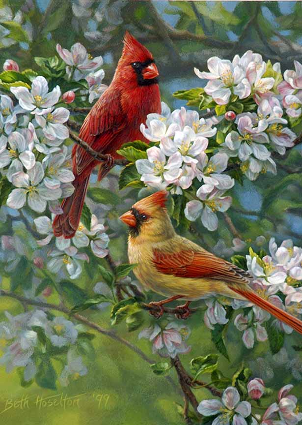 BH2 – Songbirds – Orchard Romance – Cardinals (detail) © Beth Hoselton