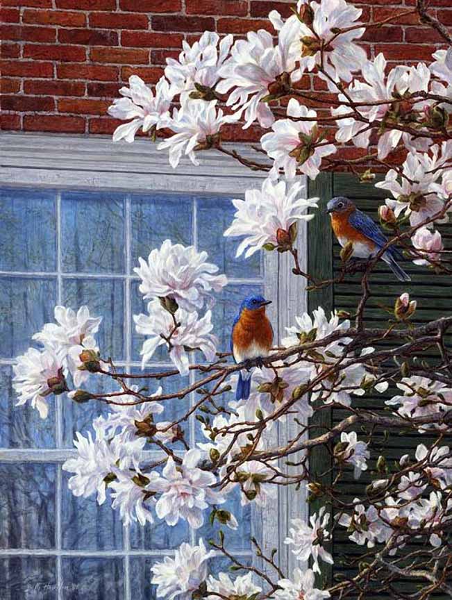BH2 – Songbirds – Southern Charm – Bluebirds and Magnolias © Beth Hoselton