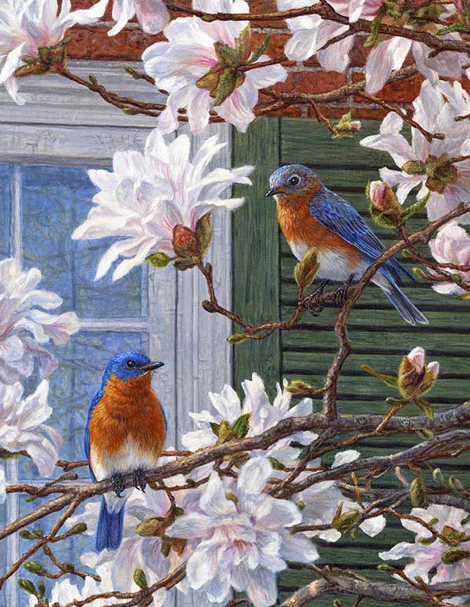 BH2 – Songbirds – Southern Charm – Eastern Bluebirds and Magnolias (detail) © Beth Hoselton