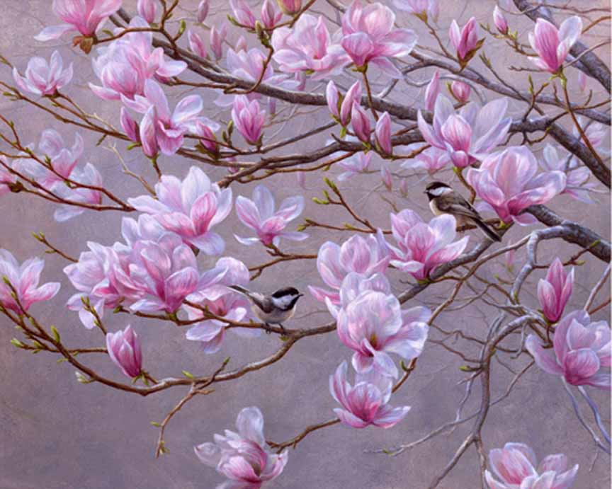 BH2 – Songbirds – Spring Blossoms – Chickadees and Magnolias © Beth Hoselton