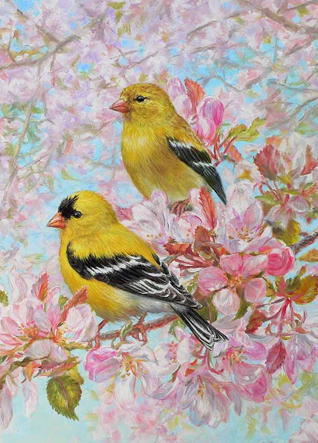 BH2 – Songbirds – Spring Morning – American Goldfinches (detail) © Beth Hoselton