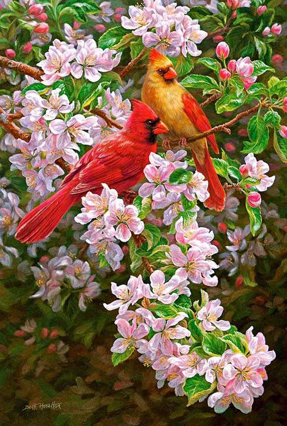 BH2 – Songbirds – Spring Romance – Cardinal and Apple Blossoms © Beth Hoselton