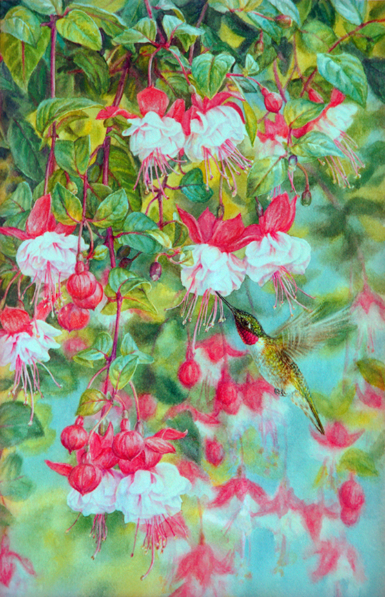 BH2 – Songbirds – Summer Joy – Hummingbird and Fuchsia © Beth Hoselton