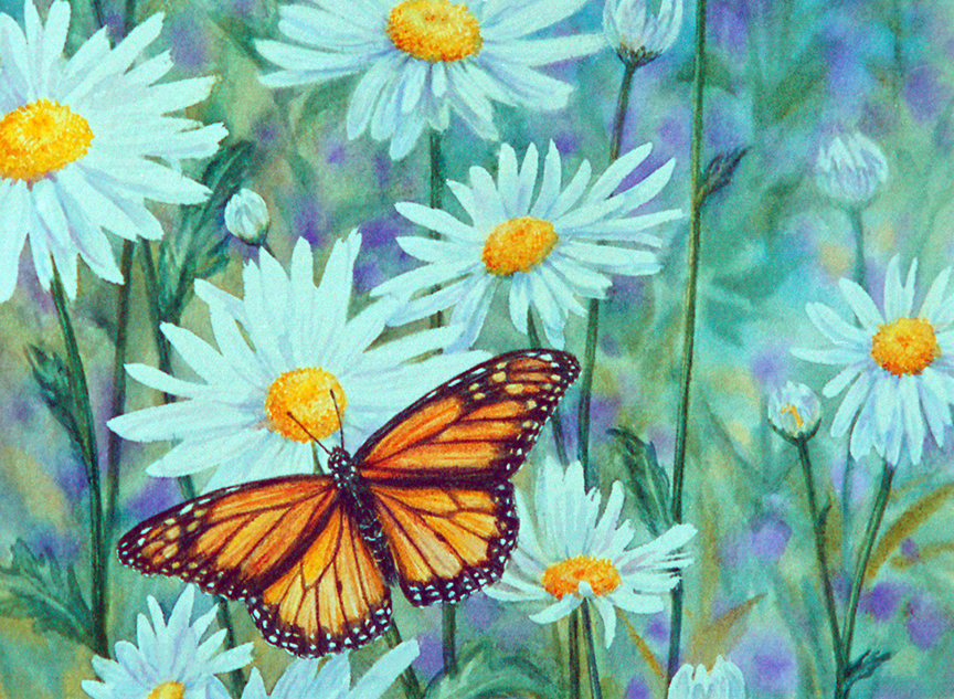 BH2 – Songbirds – Summer Meadow 2 – Monarch Butterfly and daisies © Beth Hoselton