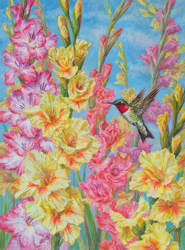 BH2 – Songbirds – Summer’s Delight – Ruby-Throated Hummingbird and Gladiola © Beth Hoselton