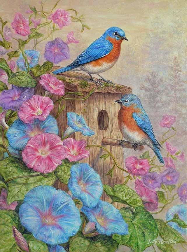 BH2 – Songbirds – Summer’s Dream – Bluebird and Morning Glory © Beth Hoselton