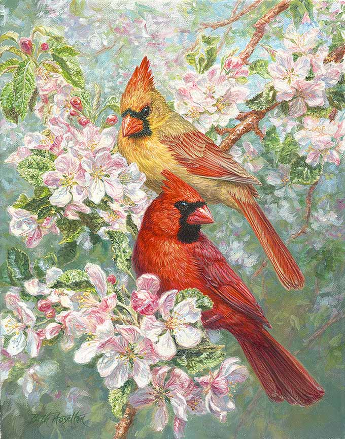 BH2 – Songbirds – Treasures of Spring – Cardinals and Apple Blossoms © Beth Hoselton