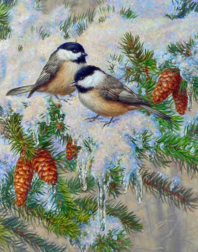 BH2 – Songbirds – Upon a Winter’s Day – Chickadees © Beth Hoselton