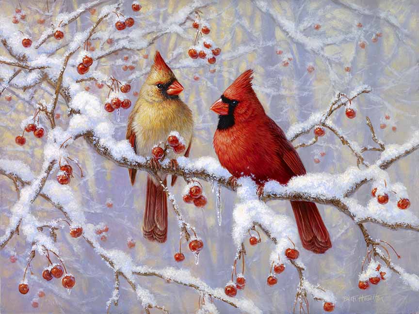 BH2 – Songbirds – Winter Joy – Cardinals © Beth Hoselton