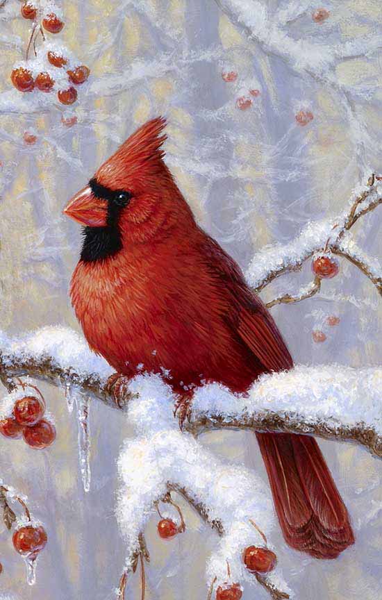 BH2 – Songbirds – Winter Joy -Male Cardinal (detail) © Beth Hoselton